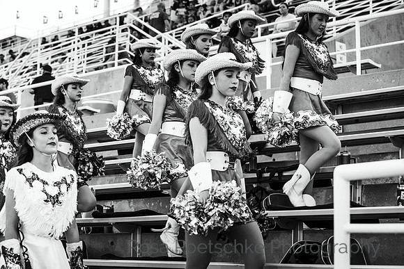 untitled-4910