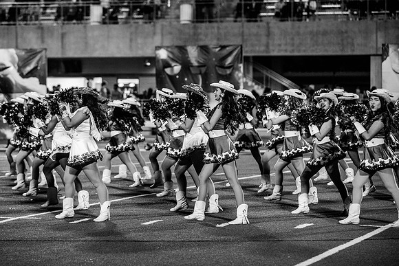 untitled-3879