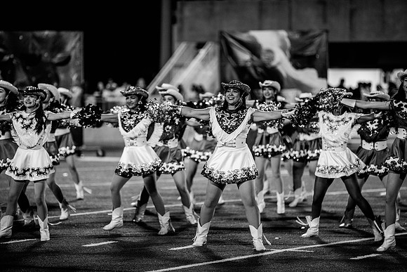 untitled-3931
